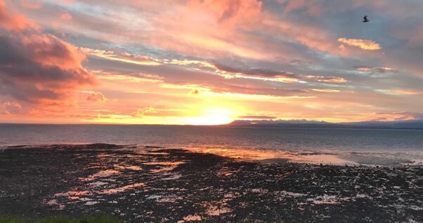 New Events at Church by the Bay!